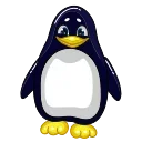 Video sticker 👍 Pinguin Pin