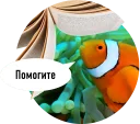 Sticker 🐟 Рыбы пытаются читать