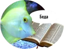 Sticker 🐟 Рыбы пытаются читать