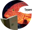 Sticker 🐟 Рыбы пытаются читать