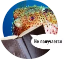 Sticker 🐟 Рыбы пытаются читать