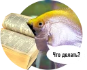 Sticker 🐟 Рыбы пытаются читать