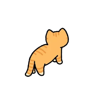 Video sticker 💬 고양이. zip By @KakaoEmoticon