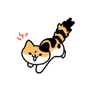 Video sticker 💬 고양이. zip By @KakaoEmoticon