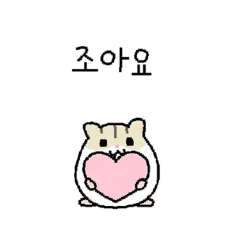 Video sticker 💬 꼬물꼬물 햄랑이 By @KakaoEmoticon