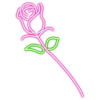 Sticker 🌹 Neon | STICK4SV