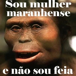 Sticker 🐵 Maranhão kkkk