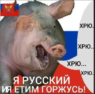 Sticker 🌟 РОССИЯНСКИ ПОРОССЯТА🐷🇷🇺🐷 :: @fStikBot