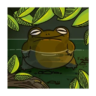 Sticker 😀 frog-стер