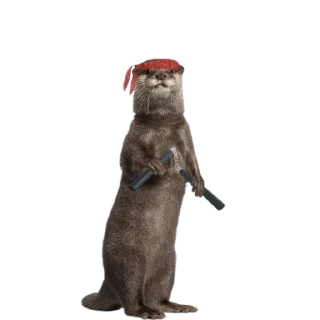 Video sticker 🦦 Armed Otters