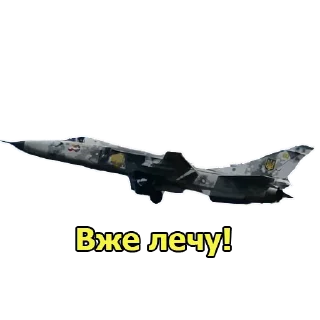 Video sticker 🐝 ukroboronprom