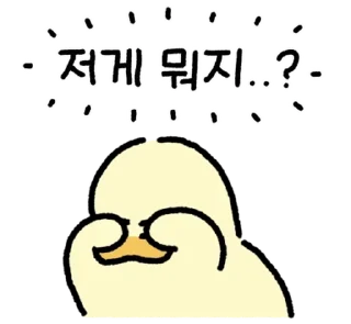 Video sticker 💬 안녕하세요. 김바덕 입니다. 11 By @KakaoEmoticon