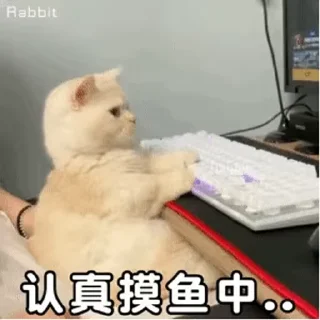 Video sticker 😺 麻瓜最帅！不接受反驳！！！