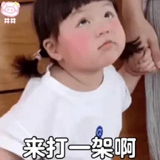 Video sticker 🍯 淼茫千里白