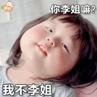 Video sticker 🍯 淼茫千里白