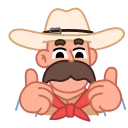 Video sticker 👍 Cowboy