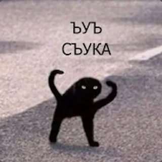 Sticker 😾 ъуъ