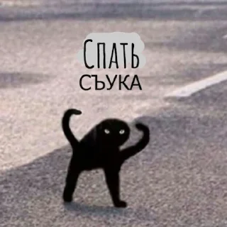 Sticker 🙀 ъуъ