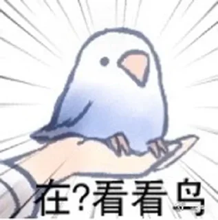 Video sticker 👀 实用鸟图 作者微博@猛禽bot