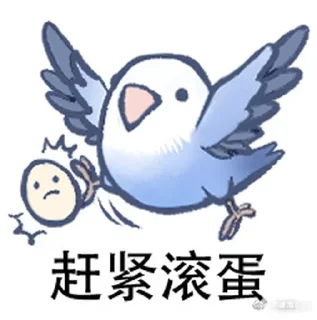 Sticker 🥚 实用鸟图 作者微博@猛禽bot