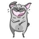 Video sticker 😂 Pug