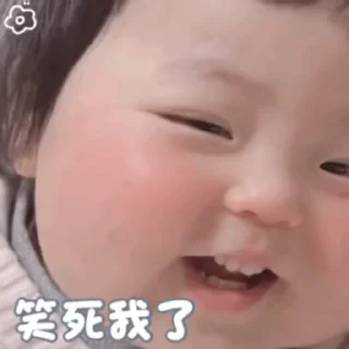 Video sticker 🌾 辉桑的北淼