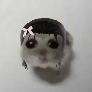 Video sticker 🐹 Tokyo Hamsters - @sukior