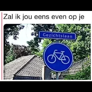 Sticker 🖕 Mengelmoesje zo in je poesje