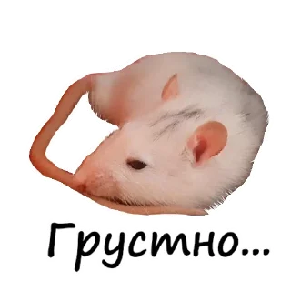 Sticker 😥 Ёся