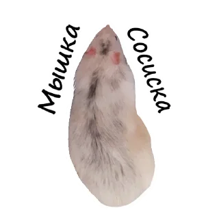 Sticker 🐀 Ёся