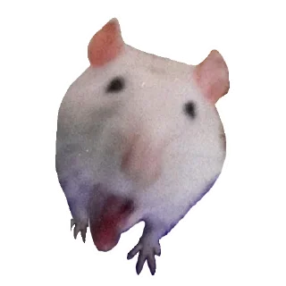 Sticker 🐀 Ёся