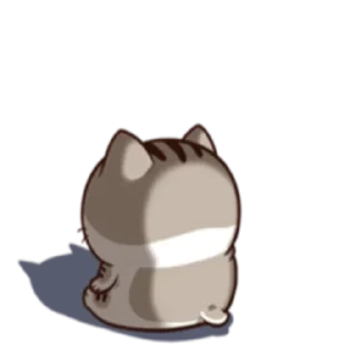 Video sticker 😺 Ami fat cat