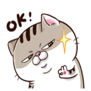 Video sticker 👌 Ami fat cat