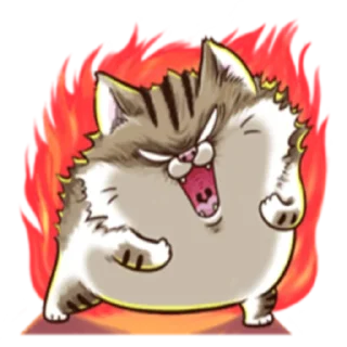 Sticker 😡 Ami fat cat