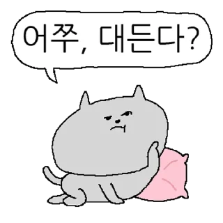 Sticker 💬 작은 회색 고양이 2 By @KakaoEmoticon