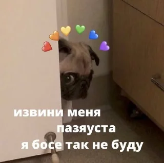 Sticker 🌟 темалучшийпиздализ :: @fStikBot