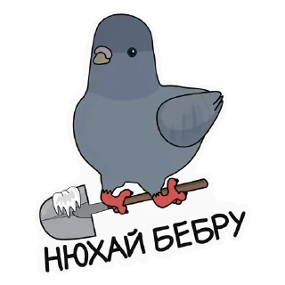 Sticker 💩 Мем-стики от @lifeyt