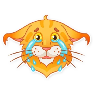 Sticker 😭 Kaiser Maine Coon