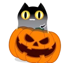 Video sticker 🎃 Crazy Kitty @IMG2D