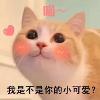 Video sticker 😘 miao miao在线