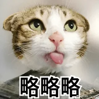 Sticker 😝 miao miao在线