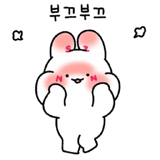 Video sticker 💬 시즈널한 토끼의 어쩔시즌 By @KakaoEmoticon