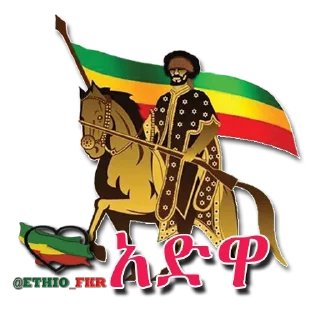 Video sticker 🇪🇹 ፍቅር @fkr_felagi