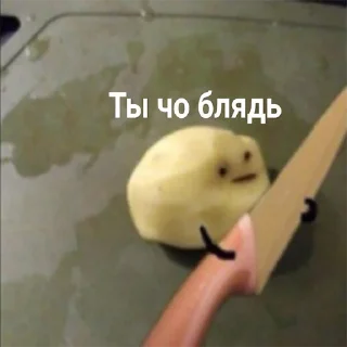 Video sticker 🤨 мемосяндры