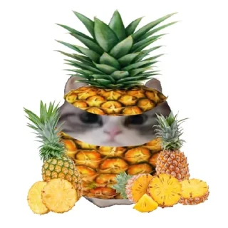 Sticker 🍍 ебучий шарик @komaru_GIF