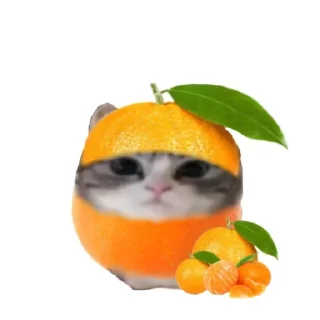 Sticker 🍊 ебучий шарик @komaru_GIF