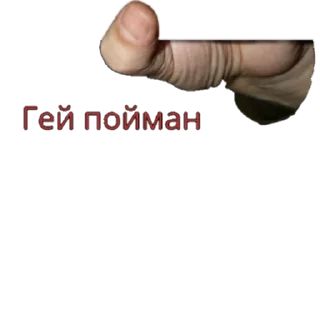 Video sticker 🔼 Ахпхпхп