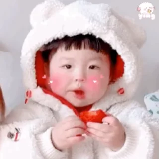 Video sticker 🍼 江湖乄贴纸