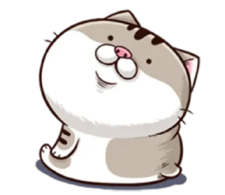 Video sticker 😶 Ami_fat_cat