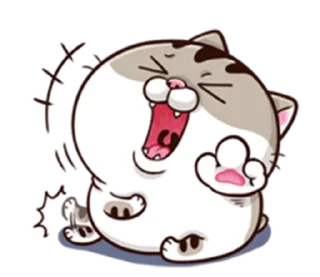 Sticker 🤣 Ami_fat_cat